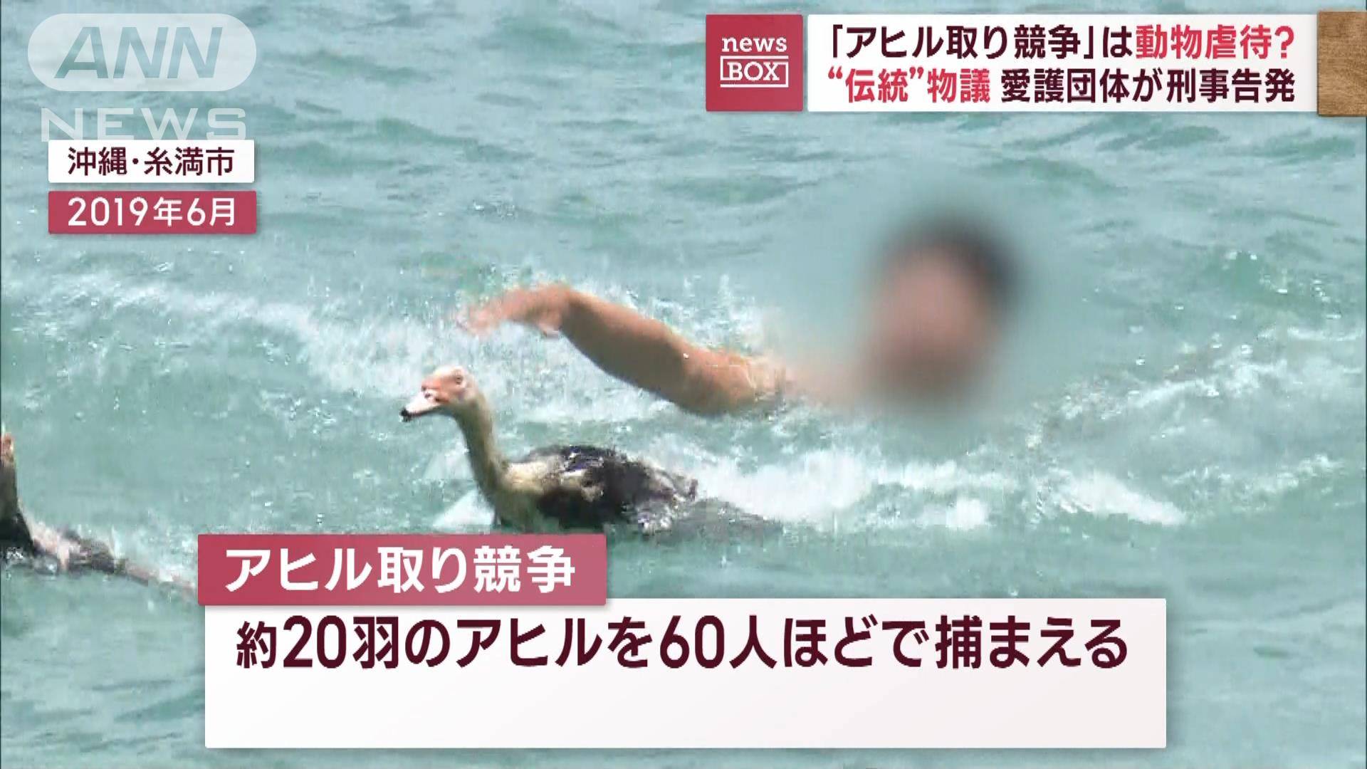 ハーレーのアヒル取り競争が大炎上