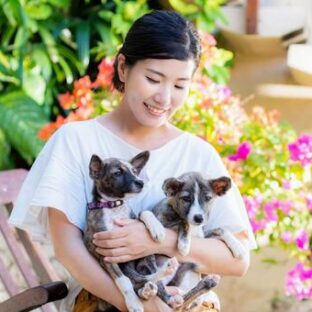 動物愛護センターでボランティアをしたい!どんなことを手伝えるのか?