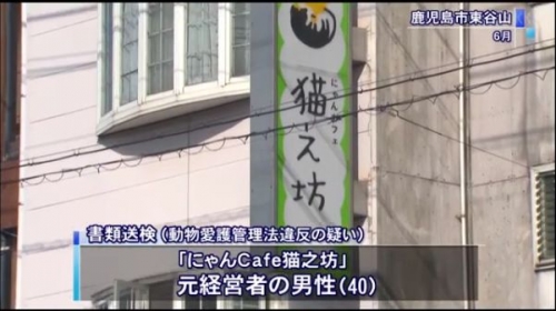 にゃんcafe猫之坊の経営者が逮捕されたニュース