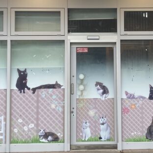 猫カフェ開業と経営の成功、失敗談