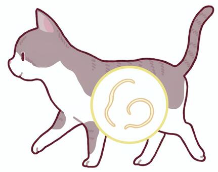 猫のお腹にいる寄生虫