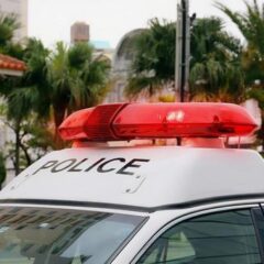 動物愛護法違反で通報したいとき、どこに電話をすればいいのか？犬や猫の虐待について