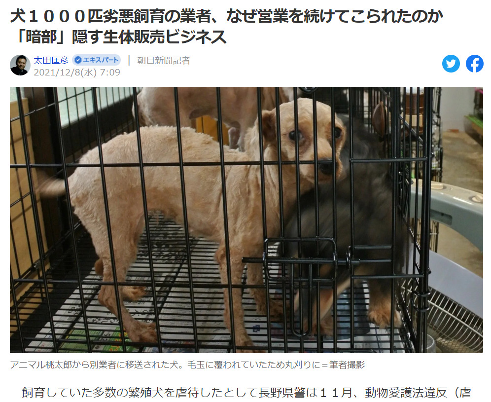 長野県松本市の大量の犬猫の虐待 アニマル桃太郎の経営者を逮捕