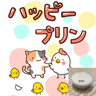ハッピープリン 平飼い卵使用のきぶん屋オリジナル商品