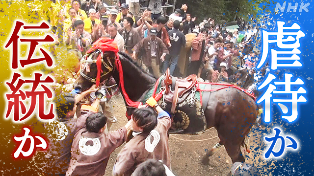 NHKで取り上げられた上げ馬神事のニュース