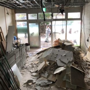 猫カフェやペット事業のテナント撤退の費用は？臭いは残る？退店時に気をつけたいこと、選ぶ業者のこと。