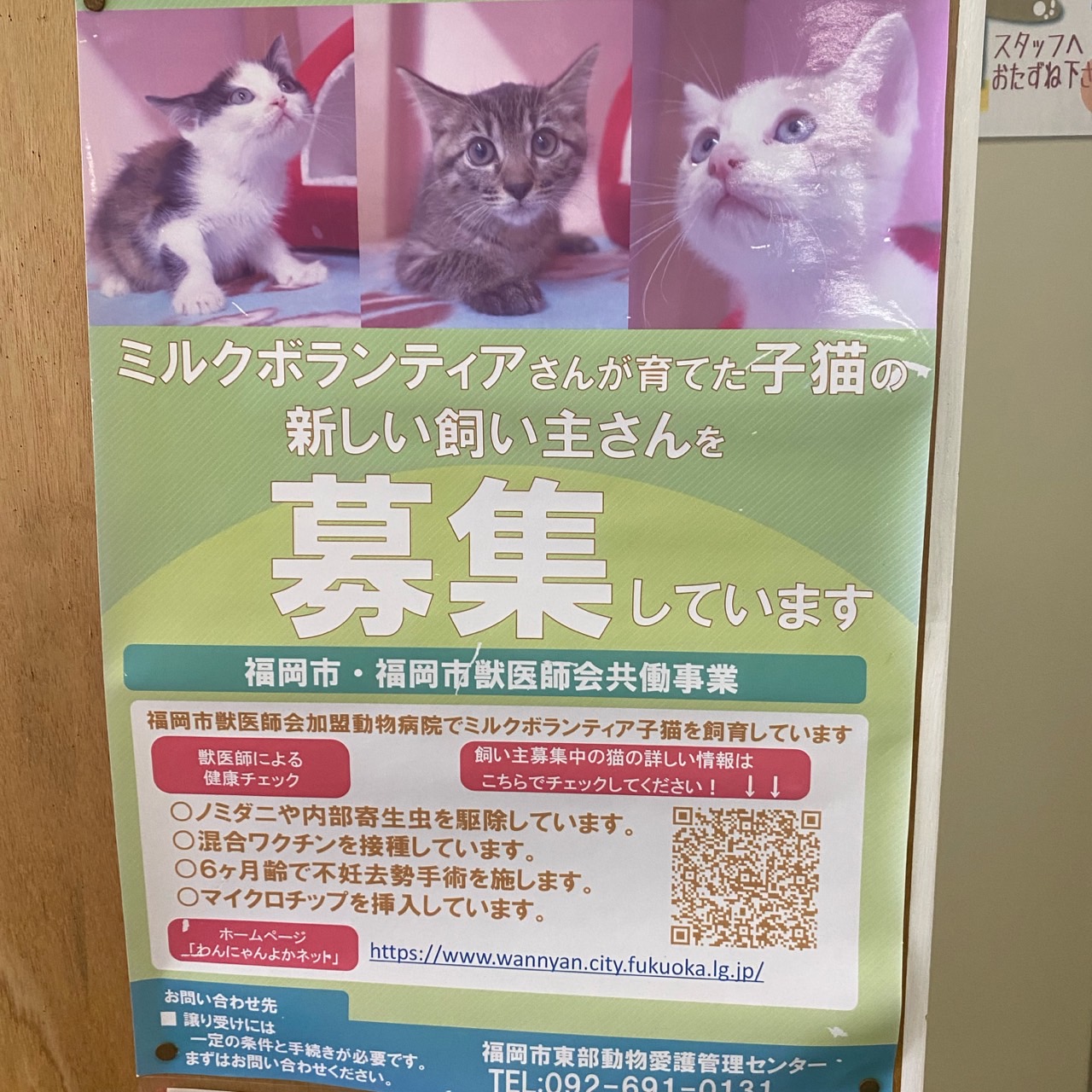 福岡市東部動物愛護センターではミルクボランティア募集