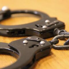 異常な動物愛護団体、こんな団体とは関わったり支援してはいけない