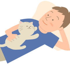 一人暮らしの男性は保護猫を譲渡してもらえない？その理由と対処法