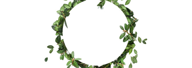 エシカルな化粧品特集