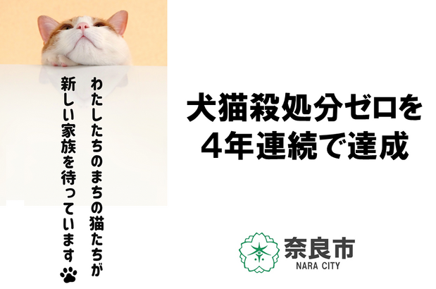 奈良市は４年連続殺処分０を達成