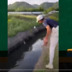 愛護動物法の対象は？魚に石を投げて殺した少年は罪になる？これからの課題と改正