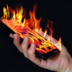 動物愛護団体が炎上。そらそうよ、こんな団体はなくなるべき。