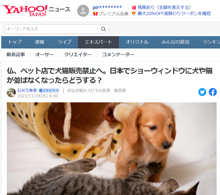 フランスでペットショップの犬猫販売禁止