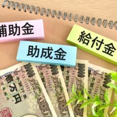 保護猫カフェで申請できる補助金、助成金は？運営に困ったときの対処法