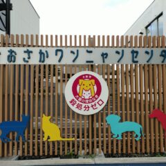 殺処分しない動物愛護センターへ！全国の動物愛護センターを見学して感じたこと