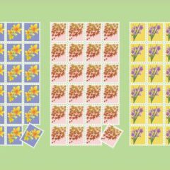 使わない切手を寄付してください！犬猫、動物のために使わせていただきます。