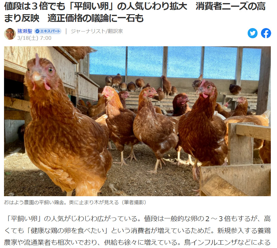 平飼い卵が人気