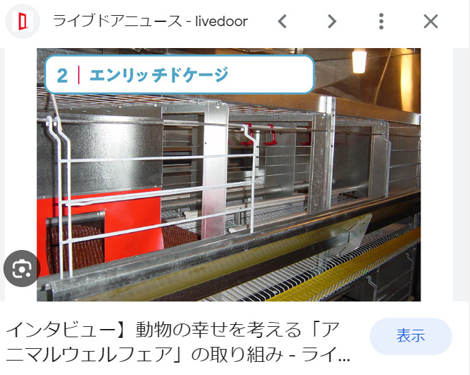 エンリッチドケージ