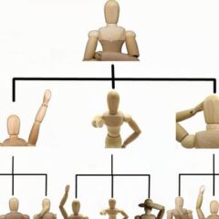 動物愛護団体がとネットワークビジネスの相性は最悪。手をつけない方が良い理由