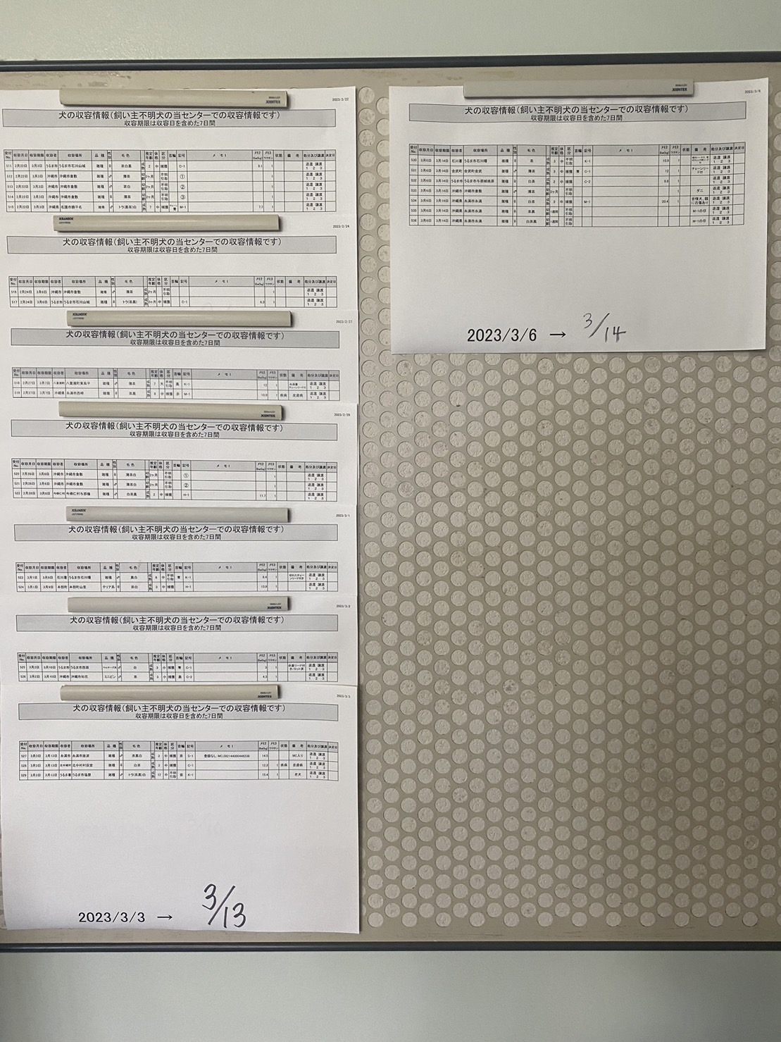 沖縄県動物愛護管理センター犬収容状況