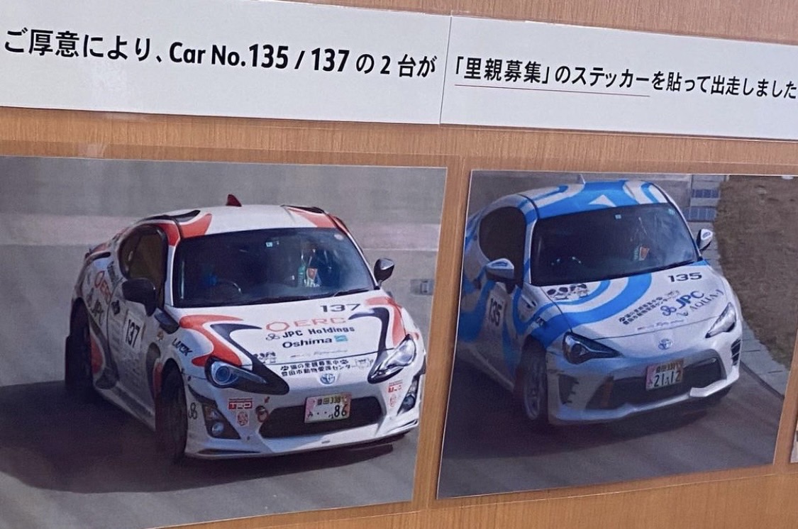 トヨタがレースで里親募集の宣伝