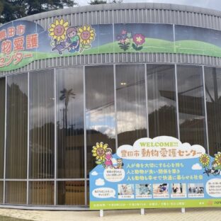 豊田市へ動物愛護でふるさと納税！金銭面の負担なし、最先端を行く豊田市動物愛護センターとボランティア登録制度