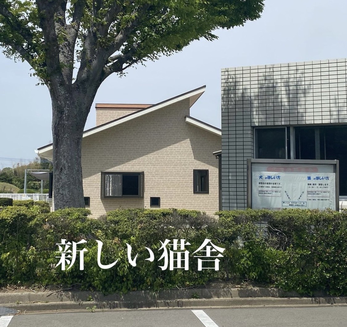 福岡県動物愛護センターの新猫舎