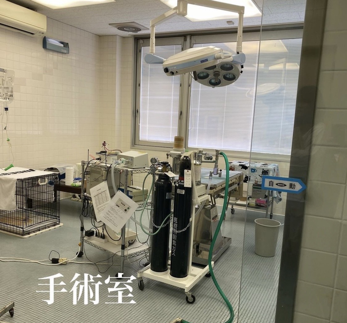 福岡県動物愛護センターの治療室