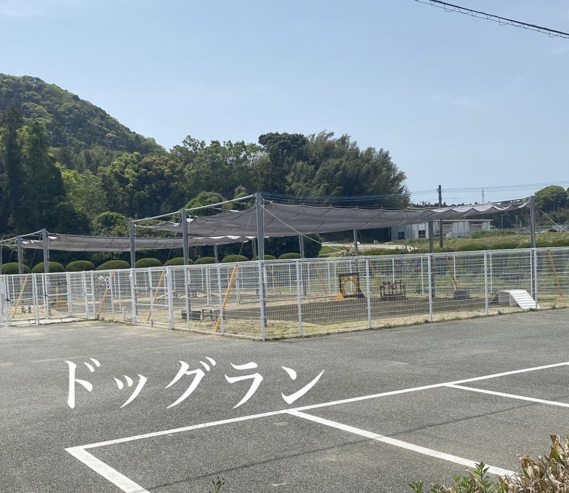 福岡県動物愛護センターのドッグラン