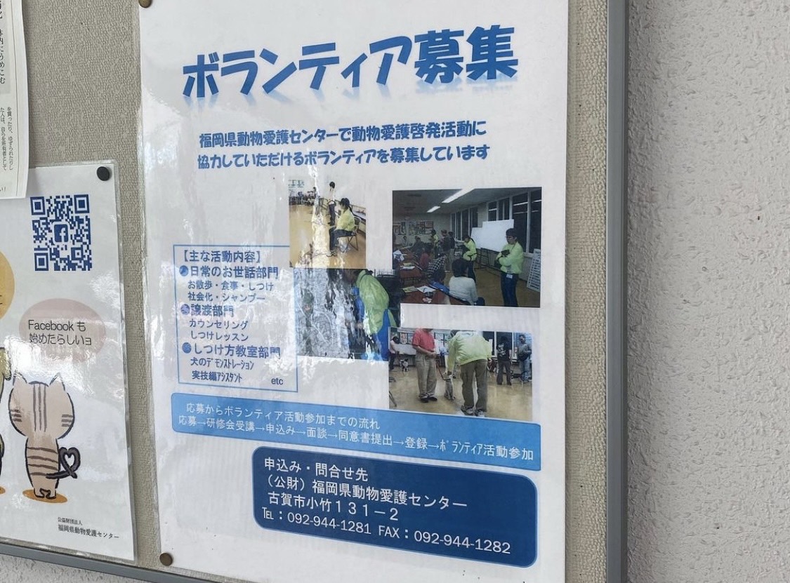 福岡県動物愛護センターボランティア募集