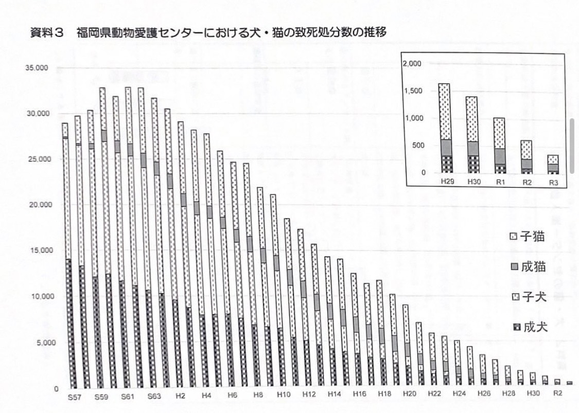 福岡県殺処分数推移