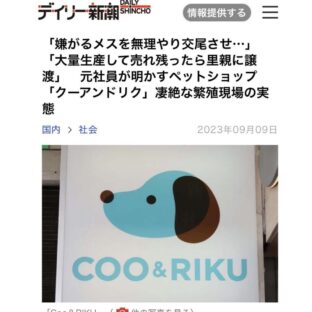 クーアンドリクから買わないで!関わると犬猫も人も不幸になる最悪の繁殖と販売