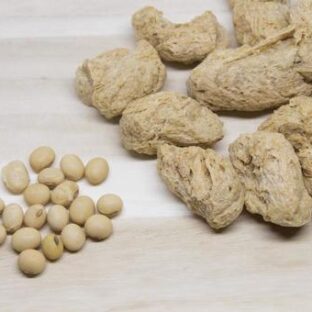 大豆ミートを食べているヴィーガンは矛盾してない?こんなことよりも大事なこと