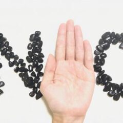 断る勇気を。動物愛護団体の多頭飼育崩壊が続いています。