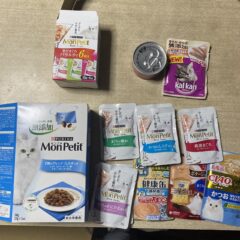 口内炎の猫が痛がって食べられない時に食べたフードを紹介。少しでも長く生きるために。