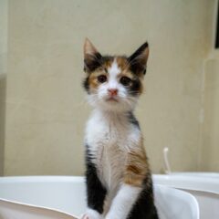 おもろい社会のつくり方