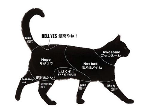 猫が撫でられたら嬉しい場所、不快な場所