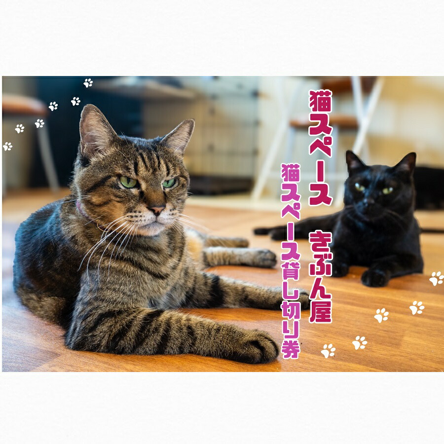 きぶん屋ふるさと納税