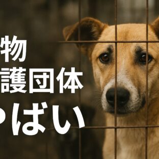 「動物愛護団体 やばい」と言われる理由とは？信頼できる団体の見分け方を徹底解説