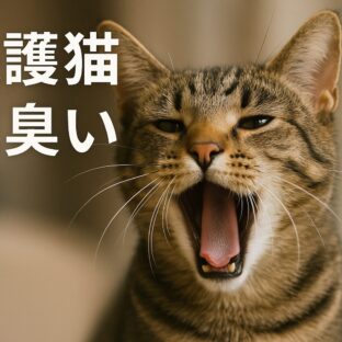 保護猫の口臭が気になる飼い主のための完全ガイド