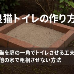 野良猫トイレの作り方｜地域猫を庭の一角でトイレさせる工夫と他の家で粗相させない方法