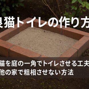 野良猫トイレの作り方｜地域猫を庭の一角でトイレさせる工夫と他の家で粗相させない方法