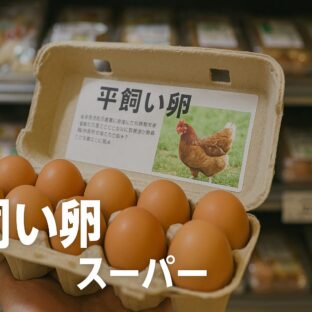 平飼い卵をスーパーで購入する時代へ – アニマルウェルフェアが変える食の選択肢