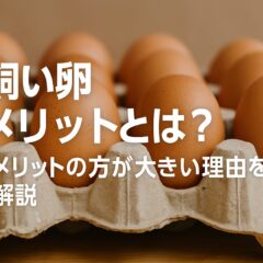 平飼い卵のデメリットとは?実はメリットの方が大きい理由を徹底解説