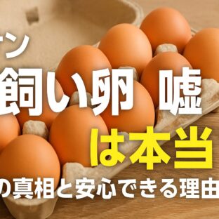 イオンの平飼い卵は嘘?SNSで拡散されたデマの真実を徹底解説