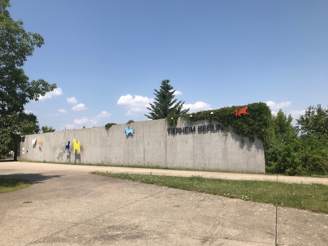 ティアハイムベルリン