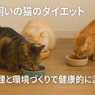 猫のダイエット：多頭飼いの食事管理完全ガイド