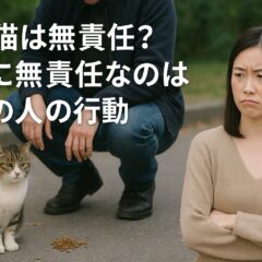 地域猫と無責任な給餌行為：真実と誤解を分ける