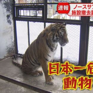 ノースサファリサッポロ 何があった 問題|20年の歴史に幕を下ろした真相を徹底解説